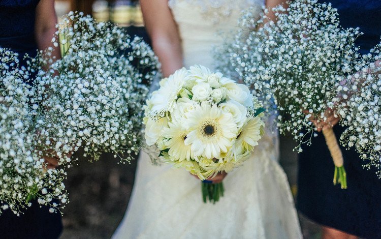цветы, белые, невеста, свадебный букет, подружки невесты, flowers, white, the bride, wedding bouquet, bridesmaids