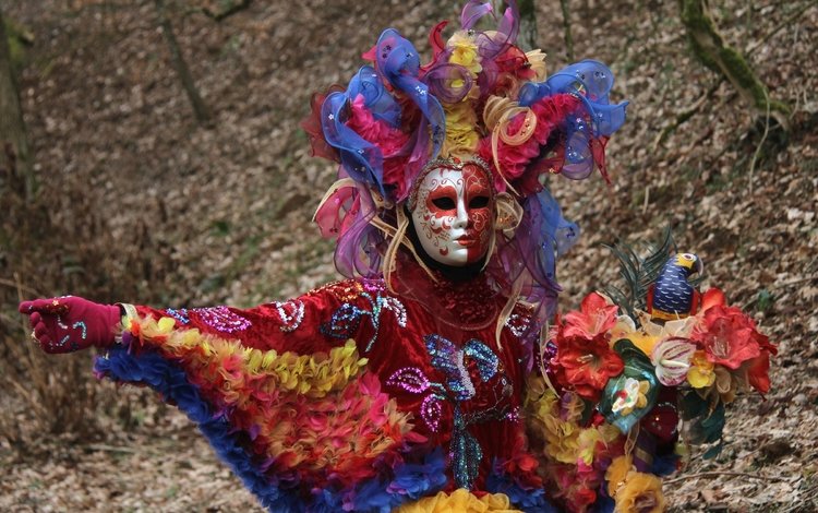 маска, венеция, костюм, попугай, карнавал, mask, venice, costume, parrot, carnival