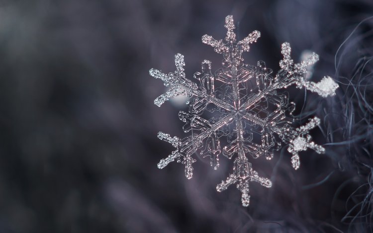 снег, снежинка, кристалл, snow, snowflake, crystal