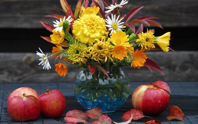 яблоки, осень, букет, apples, autumn, bouquet
