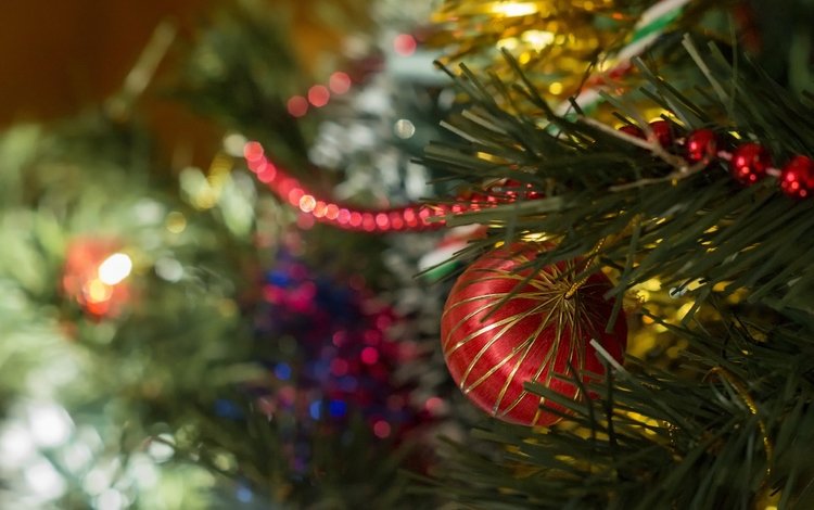 новый год, елка, украшения, шар, рождество, новогодние украшения, new year, tree, decoration, ball, christmas, christmas decorations