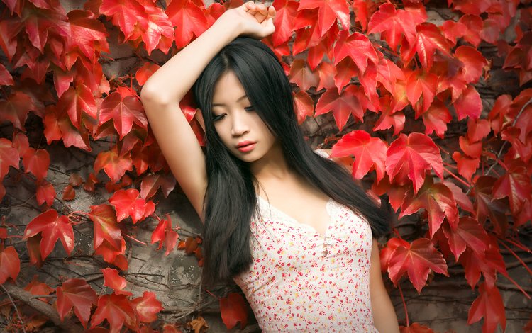 листья, девушка, настроение, фон, взгляд, азиатка, длинные волосы, leaves, girl, mood, background, look, asian, long hair