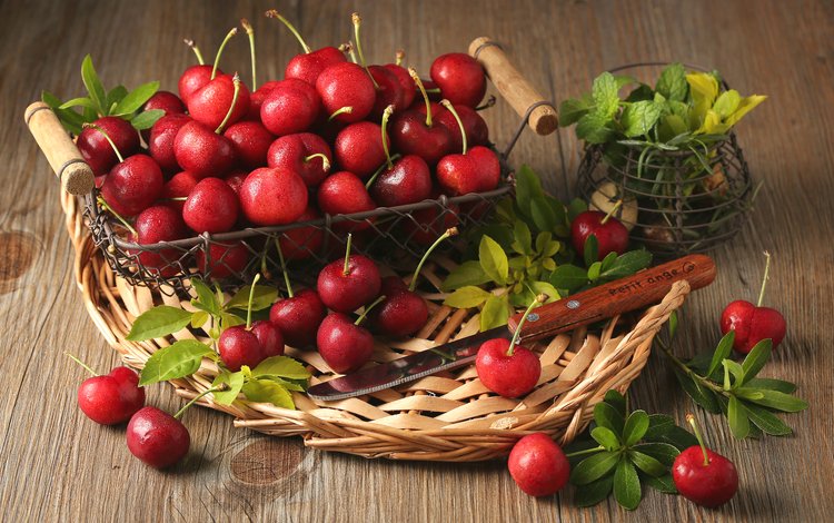 мята, листья, красные, черешня, корзина, ягоды, вишня, нож, вишни, mint, leaves, red, cherry, basket, berries, knife