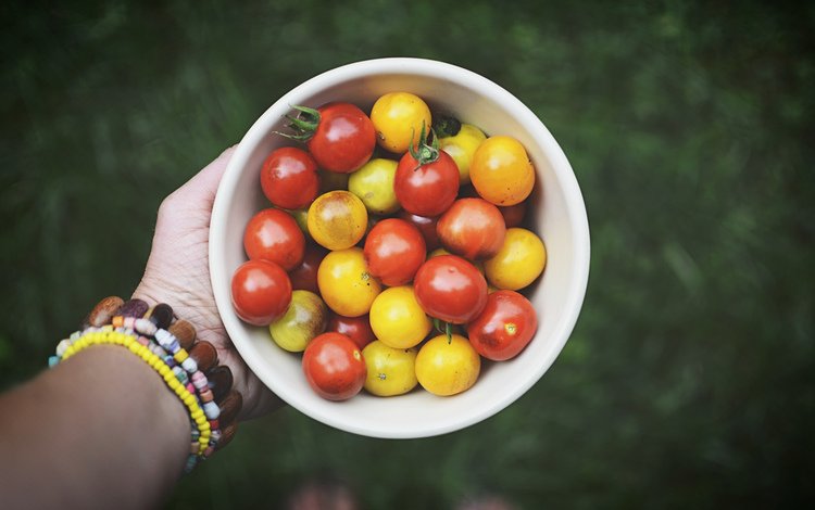 рука, овощи, помидоры, томаты, hand, vegetables, tomatoes