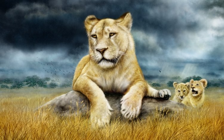 львы, семья, львята, львица, саванна, детеныши, сухая трава, lions, family, the cubs, lioness, savannah, cubs, dry grass