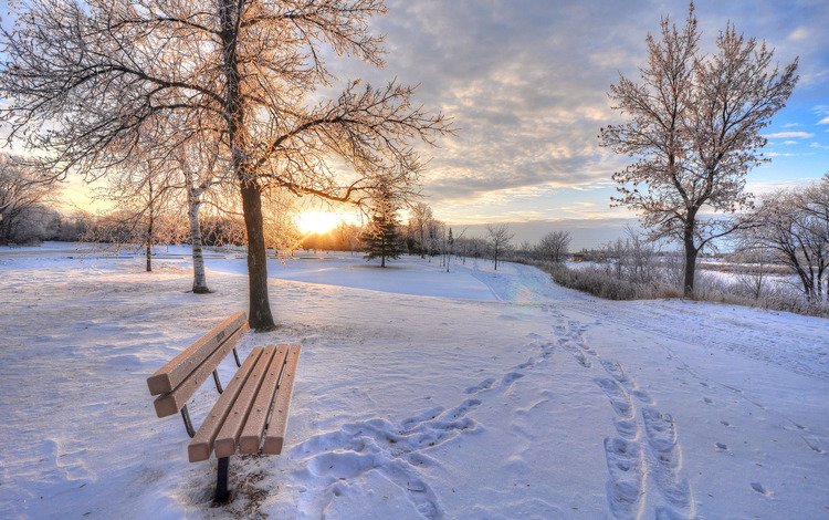 деревья, снег, зима, скамейка, trees, snow, winter, bench
