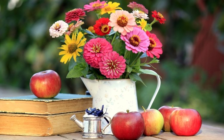 яблоки, книги, букет, цинния, apples, books, bouquet, zinnia