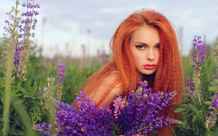 цветы, девушка, рыжая, волосы, губы, люпин, flowers, girl, red, hair, lips, lupin