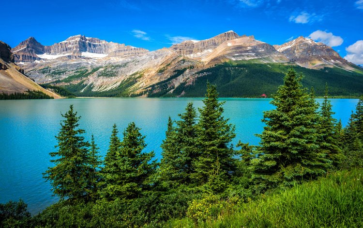 горное озеро, деревь, ландшафт, валлпапер, mountain lake, trees, landscape, wallpaper