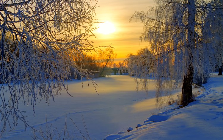 снег, закат, зима, деревь, валлпапер, snow, sunset, winter, trees, wallpaper