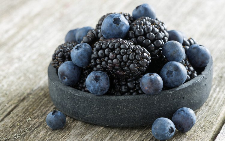 синий, ягоды, черника, ежевика, blue, berries, blueberries, blackberry