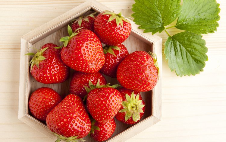ягода, красная, клубника, зеленые, листочки, berry, red, strawberry, green, leaves