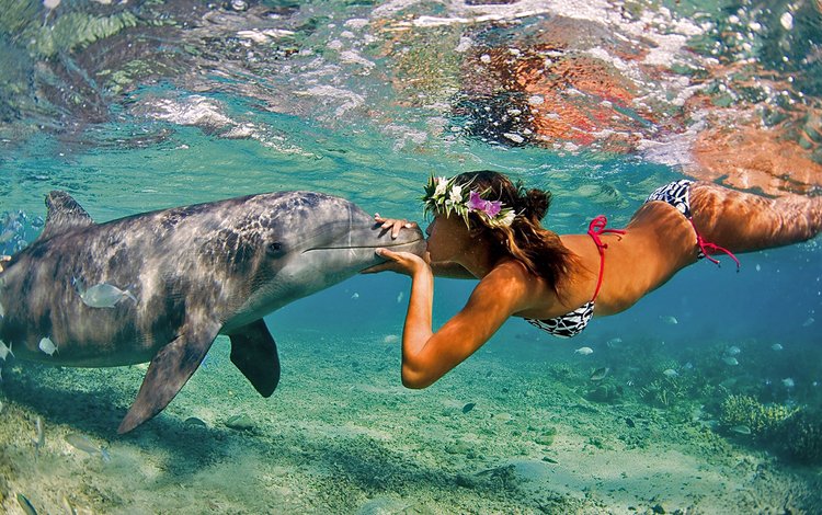 девушка, поцелуй, дельфин, валлпапер, gевочка, воздушны поцелуй, girl, kiss, dolphin, wallpaper