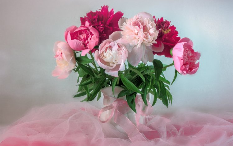 букет, розовый, нежность, пионы, bouquet, pink, tenderness, peonies