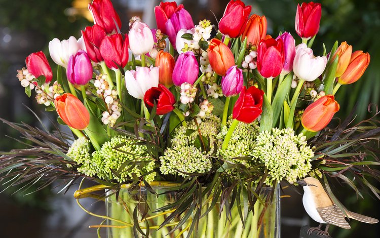 букет, тюльпаны, тульпаны, bouquet, tulips