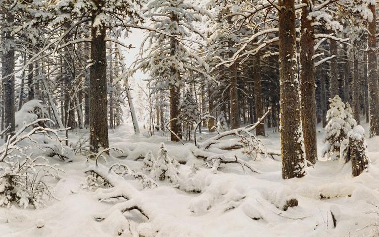 рисунок, деревья, снег, природа, лес, зима, ivan shishkin, figure, trees, snow, nature, forest, winter