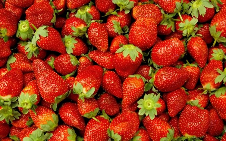 клубника, ягоды, берри, strawberry, berries, berry
