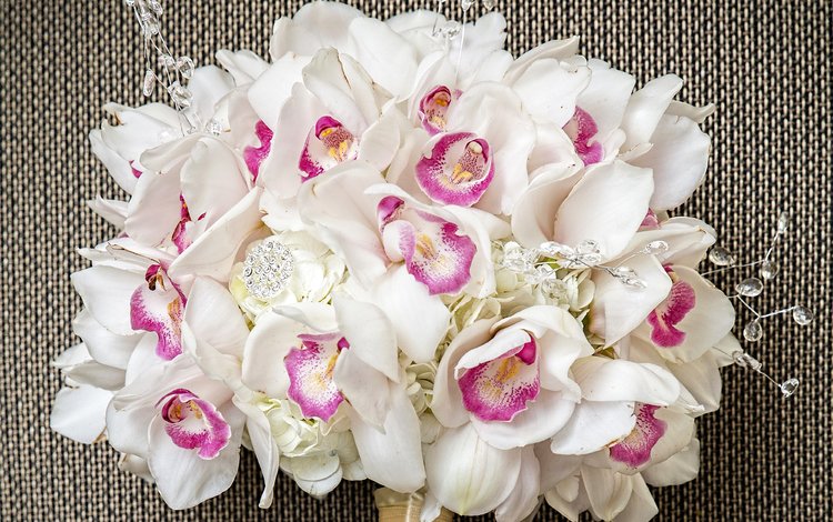 букет, белые, орхидеи, орхидею, букеты, bouquet, white, orchids, orchid, bouquets