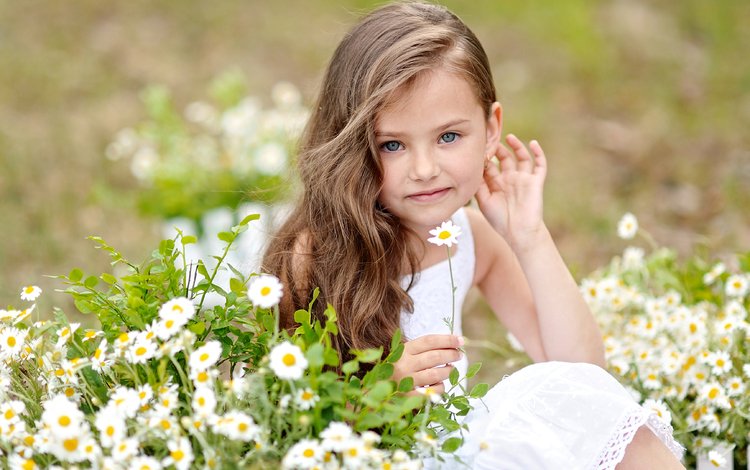 цветы, лето, взгляд, ребенок, девочки, маленькая, маргаритки, bellis, маленькая девочка, little girl, flowers, summer, look, child, girls, little, daisy