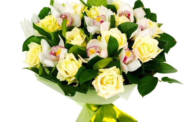 розы, букет, орхидеи, роз, орхидею, букеты, roses, bouquet, orchids, orchid, bouquets