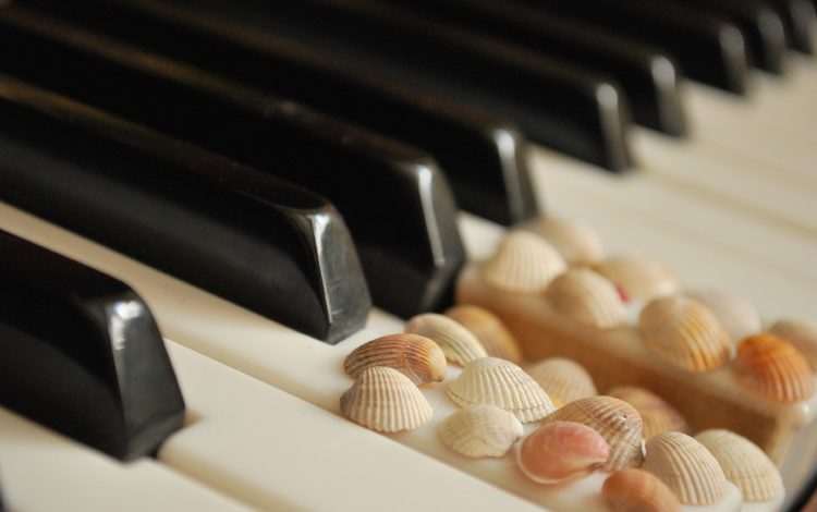 ракушки, белые, пианино, клавиши, чёрные, shell, white, piano, keys, black