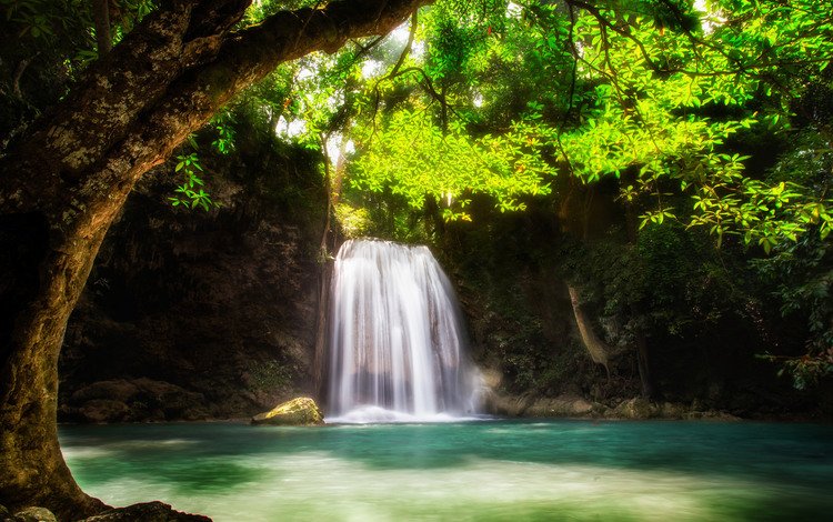 вода, дерево, водопад, поток, зеленые листья, water, tree, waterfall, stream, green leaves