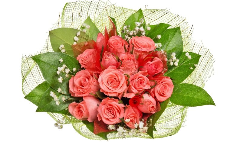 розы, букет, 8 марта, роз, букеты, roses, bouquet, march 8, bouquets