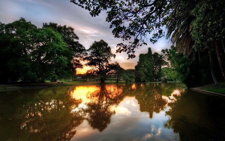 деревья, река, закат, отражение, trees, river, sunset, reflection