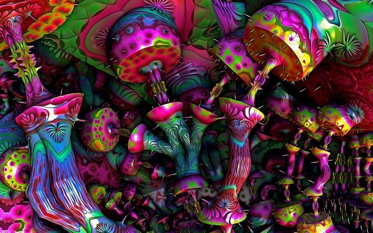 lsd, арт, hd-wallpaper, абстракт, грбы, грибы, красочная, фантазия, разноцветный, яркий, психоделика, фантазии, psy, art, hd wallpaper, abstract, grbi, mushrooms, fantasy, colorful, bright, psychedelic