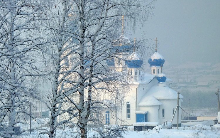 деревья, снег, природа, зима, церковь, trees, snow, nature, winter, church