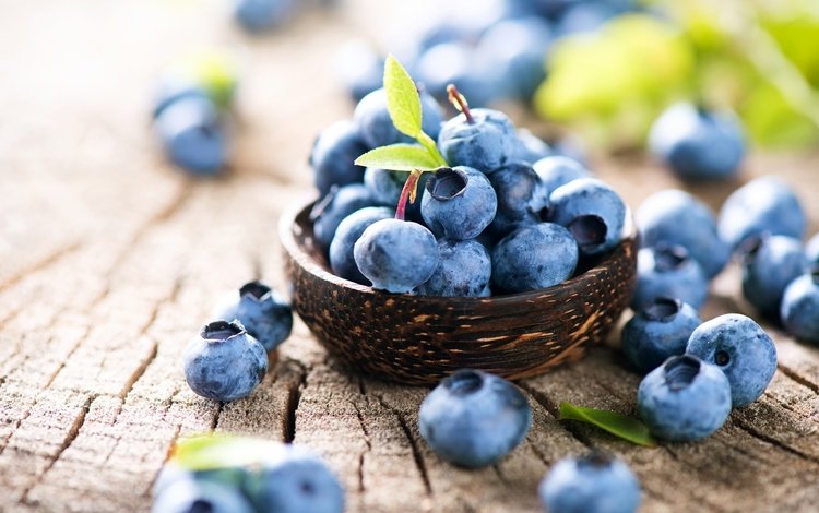 ягоды, лесные ягоды, черника, парное, черничный, berries, blueberries, fresh, blueberry