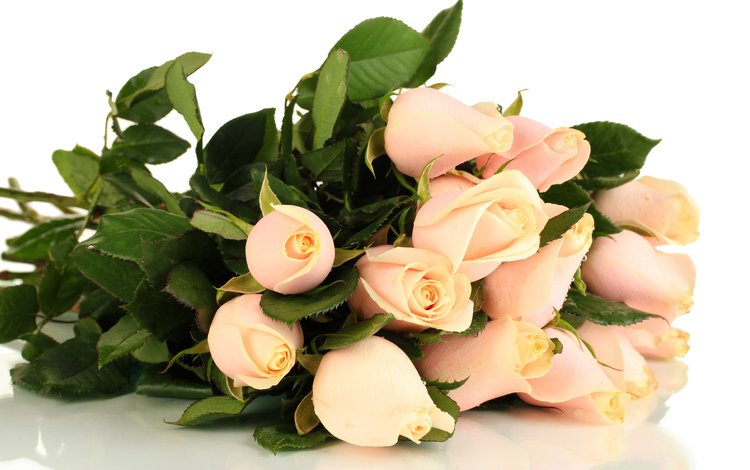 цветы, бутоны, розы, лепестки, букет, аромат, flowers, buds, roses, petals, bouquet, aroma