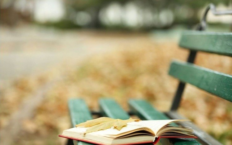 осень, лист, скамейка, листик, книга, осен, книгa, autumn, sheet, bench, leaf, book