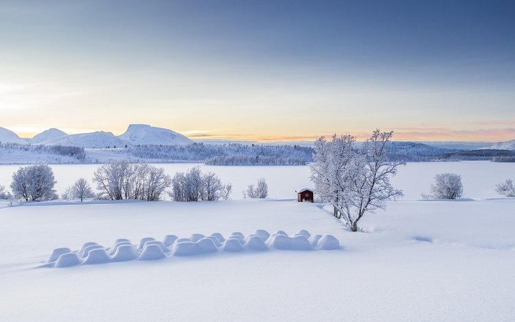 деревья, норвегии, lyngen alps, горы, балсфьорд, снег, тромс, зима, панорама, сугробы, норвегия, избушка, trees, mountains, balsfjord, troms, snow, winter, panorama, the snow, norway, hut