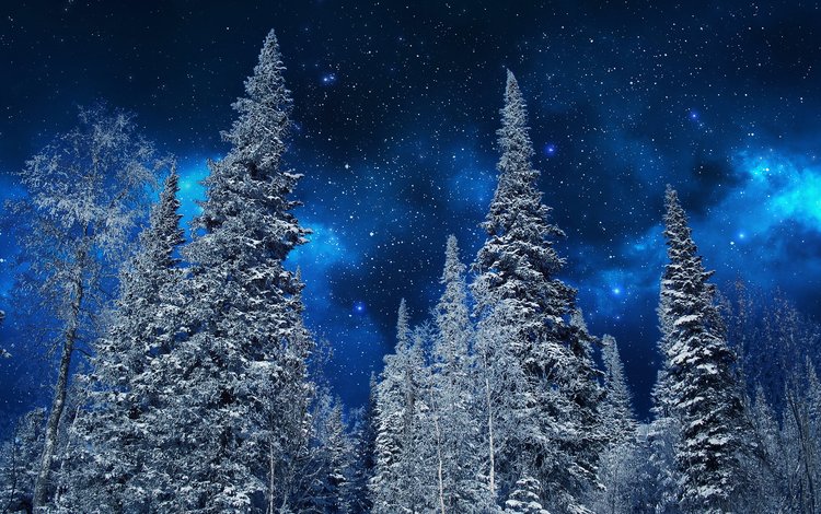 небо, ели, ночь, неба, деревья, деревь, на природе, ноч, снег, звезд, природа, зима, звезды, мороз, the sky, ate, night, sky, trees, snow, nature, winter, stars, frost