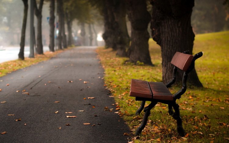 парк, город, осень, аллея, autumn bench, park, the city, autumn, alley