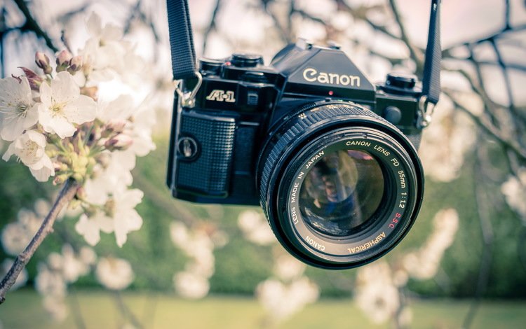 сад, весна, камера, канон, garden, spring, camera, canon