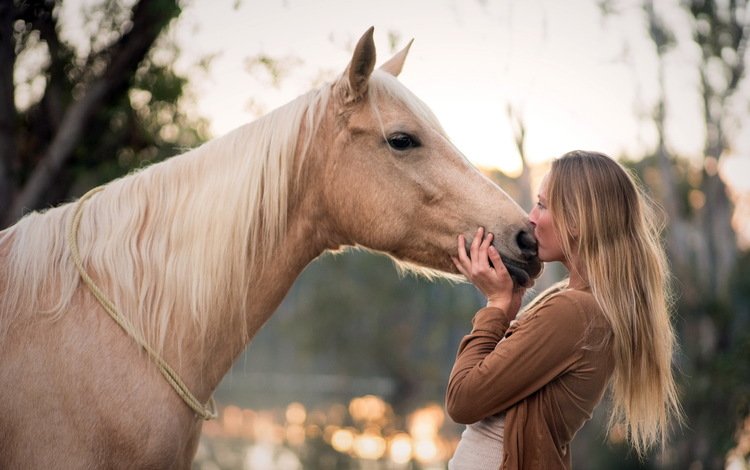 лошадь, природа, девушка, настроение, профиль, конь, поцелуй, длинные волосы, horse, nature, girl, mood, profile, kiss, long hair