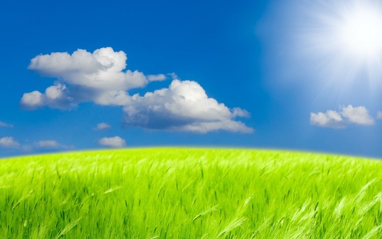 небо, на природе, солнечный свет, трава, облака, природа, пейзаж, поле, неба, ландшафт, green field, the sky, sunlight, grass, clouds, nature, landscape, field, sky