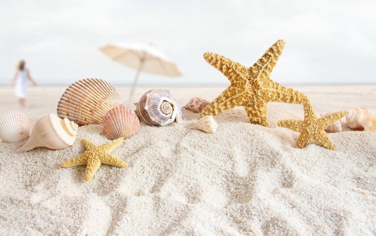 берег, пляжный натюрморт, стиль, море, песок, пляж, ракушки, зонтик, морские звезды, shore, beach still life, style, sea, sand, beach, shell, umbrella, starfish