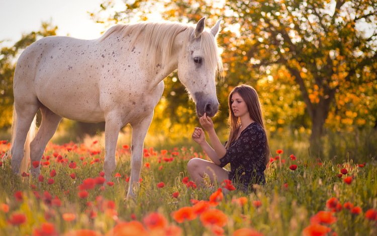 цветы, лошадь, девушка, настроение, лето, маки, конь, длинные волосы, flowers, horse, girl, mood, summer, maki, long hair