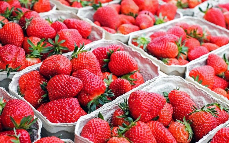 рынок, клубника, красные, ягоды, сладкие, market, strawberry, red, berries, sweet