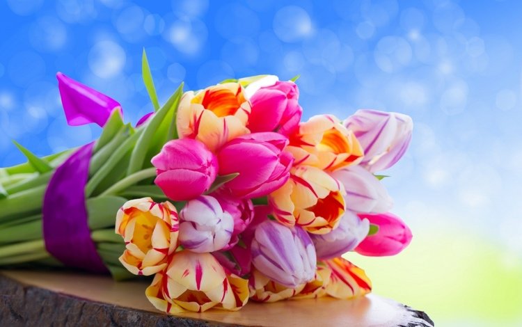 цветы, букет, тюльпаны, flowers, bouquet, tulips
