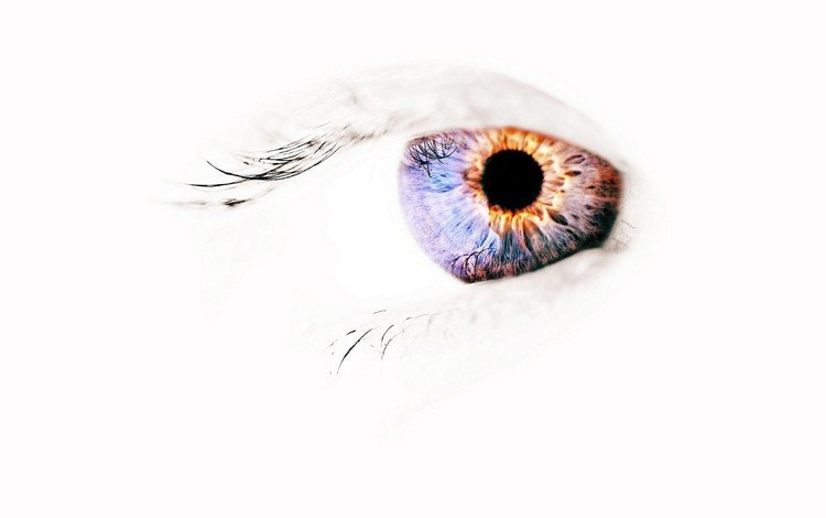 глаза, фон, белый, eyes, background, white