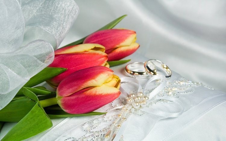 украшения, ленточки, тюльпаны, кольца, decoration, ribbons, tulips, ring