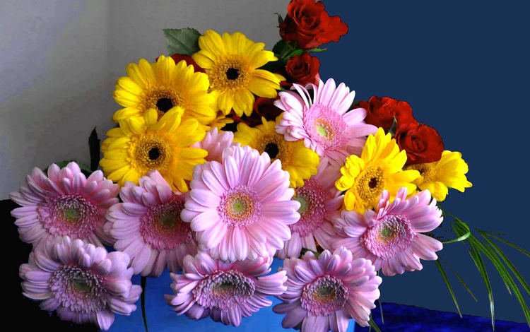 цветы, букет, герберы, flowers, bouquet, gerbera