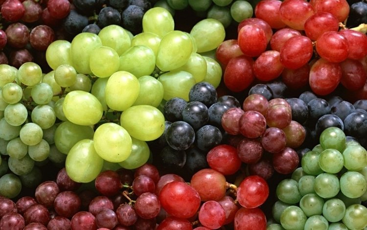виноград, белый виноград, красный виноград, синий виноград, grapes, white grapes, red grapes, blue grape