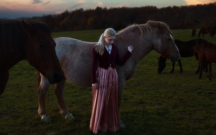 вечер, девушка, кони, the evening, girl, horses