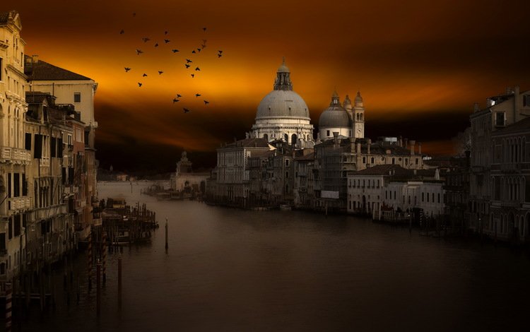 закат, город, венеция, канал, птицы, италия, sunset, the city, venice, channel, birds, italy