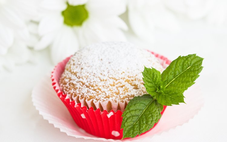 мята, выпечка, сахарная пудра, кекс, mint, cakes, powdered sugar, cupcake